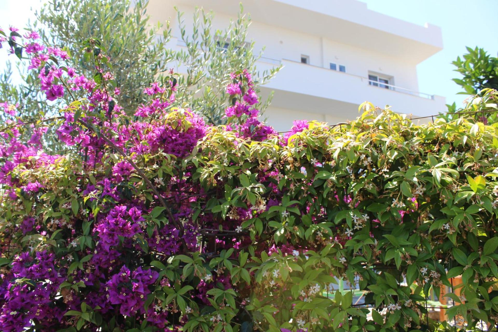 Seli'S Villa Εξαμίλιο Εξωτερικό φωτογραφία